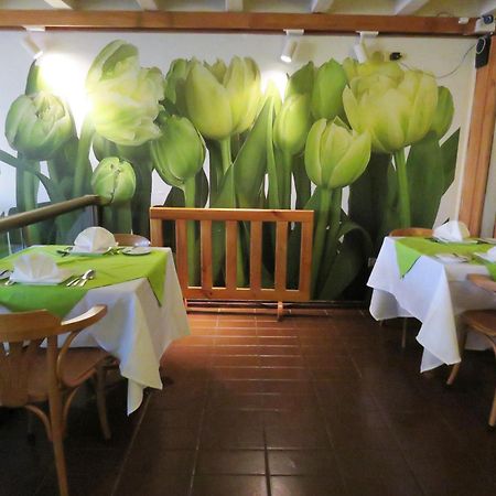 Hotel Alonso De Ercilla 康塞普西翁 外观 照片
