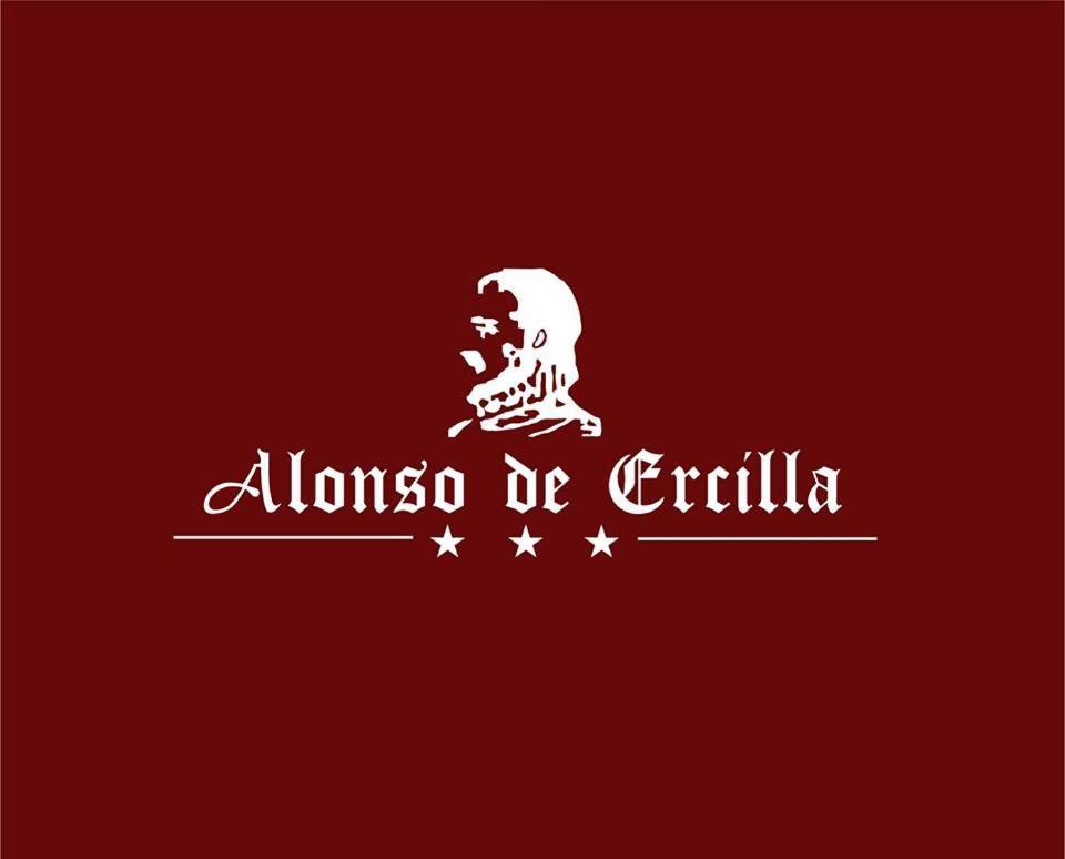 Hotel Alonso De Ercilla 康塞普西翁 外观 照片